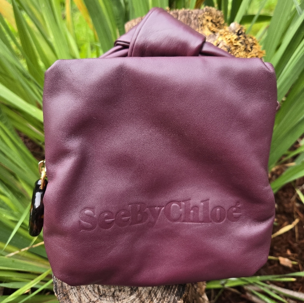 See By Chloe "Tilly's" Burgundy Bag